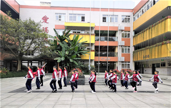 成都市小学(成都市小学排名前十名)