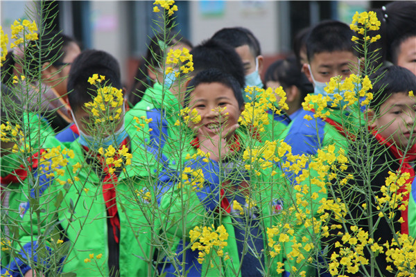 邛崃市西街小学图片