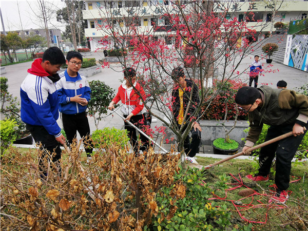 3.师生协作撬土.jpg