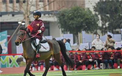 成都小学生摇身一变马场主人